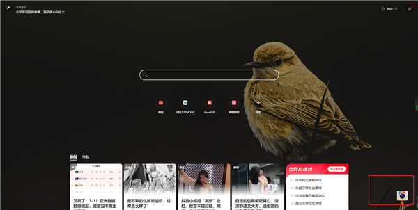 360极速浏览器正式版(图4)
