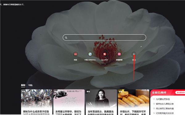 360极速浏览器正式版(图10)